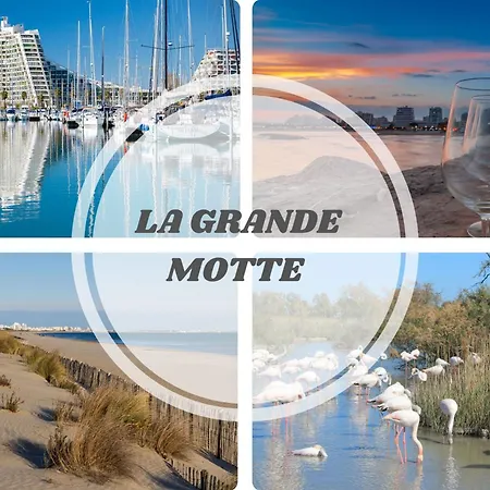 Apartment L'epicentre - Clim - Vu Sur Port- Terrasse -plage Pros Services