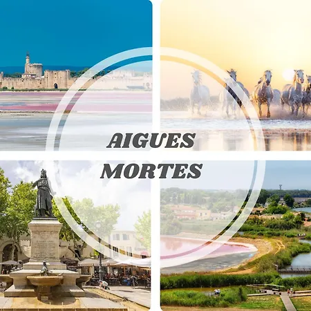 L'epicentre - Clim - Vu Sur Port- Terrasse -plage Pros Services