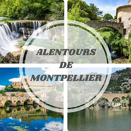 Lägenhet L'epicentre - Clim - Vu Sur Port- Terrasse -plage Pros Services *